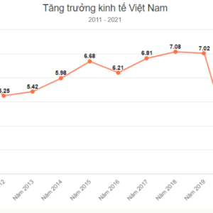 Vietnam’s economy in 2021 increases only 2.58%